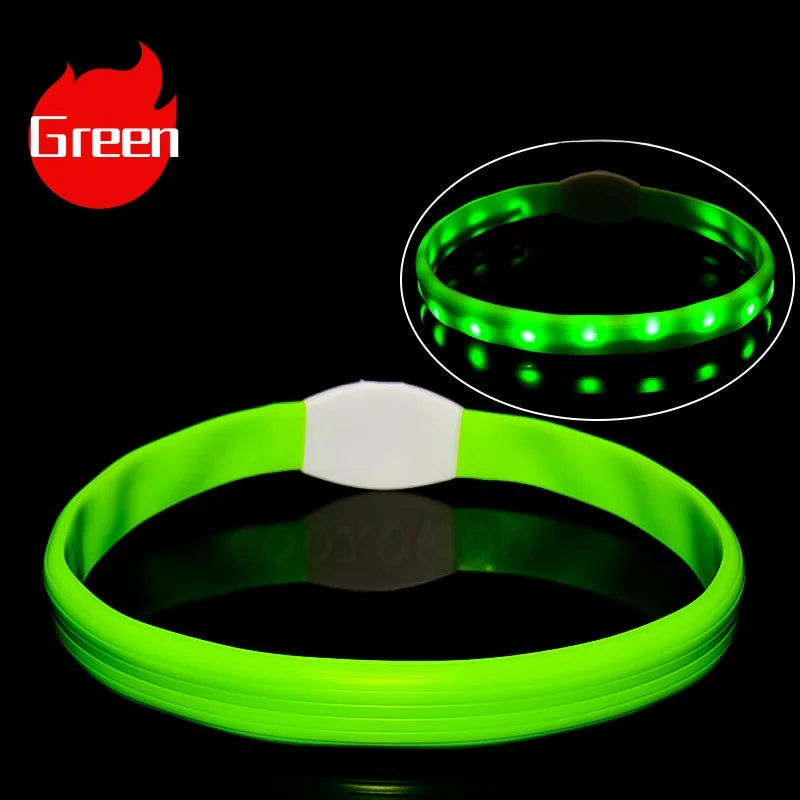 Nova coleira luminosa de LED para cães, em PVC à prova d'água, para cães de grande, médio e pequeno porte. Possui luz USB para segurança noturna e é um acessório luminoso para animais de estimação.