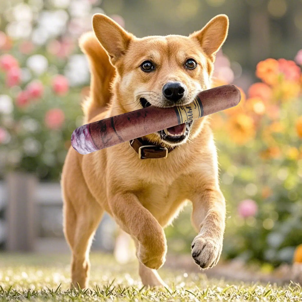 charuto  divertido para cães com som interativo e enchimento macio de algodão para filhotes e cães de pequeno, médio e grande porte.
