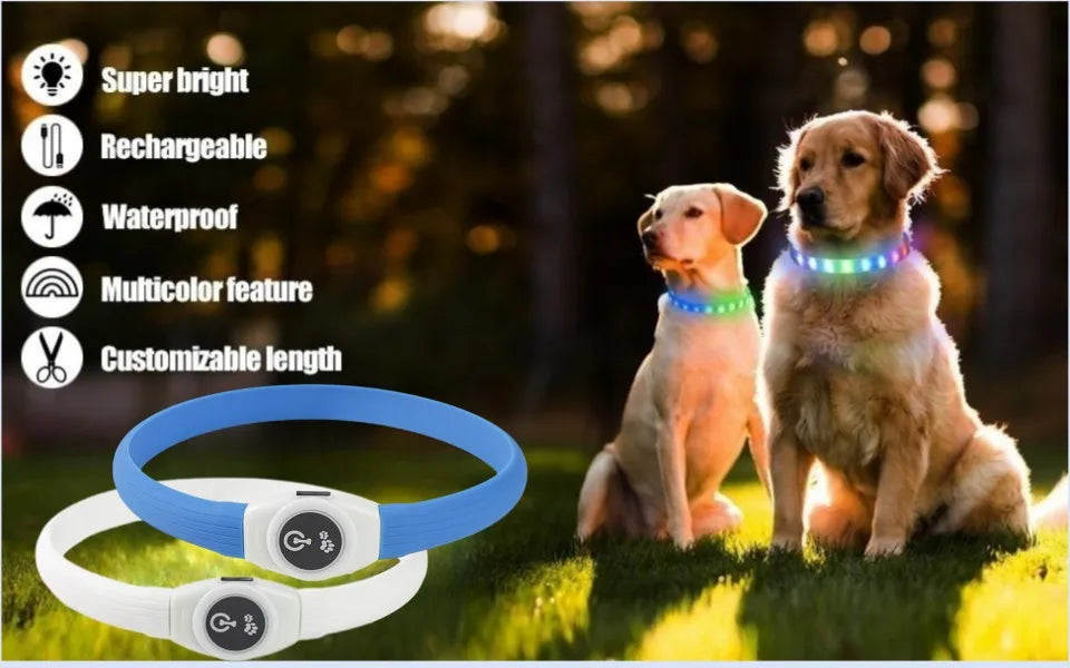 Nova coleira luminosa de LED para cães, em PVC à prova d'água, para cães de grande, médio e pequeno porte. Possui luz USB para segurança noturna e é um acessório luminoso para animais de estimação.