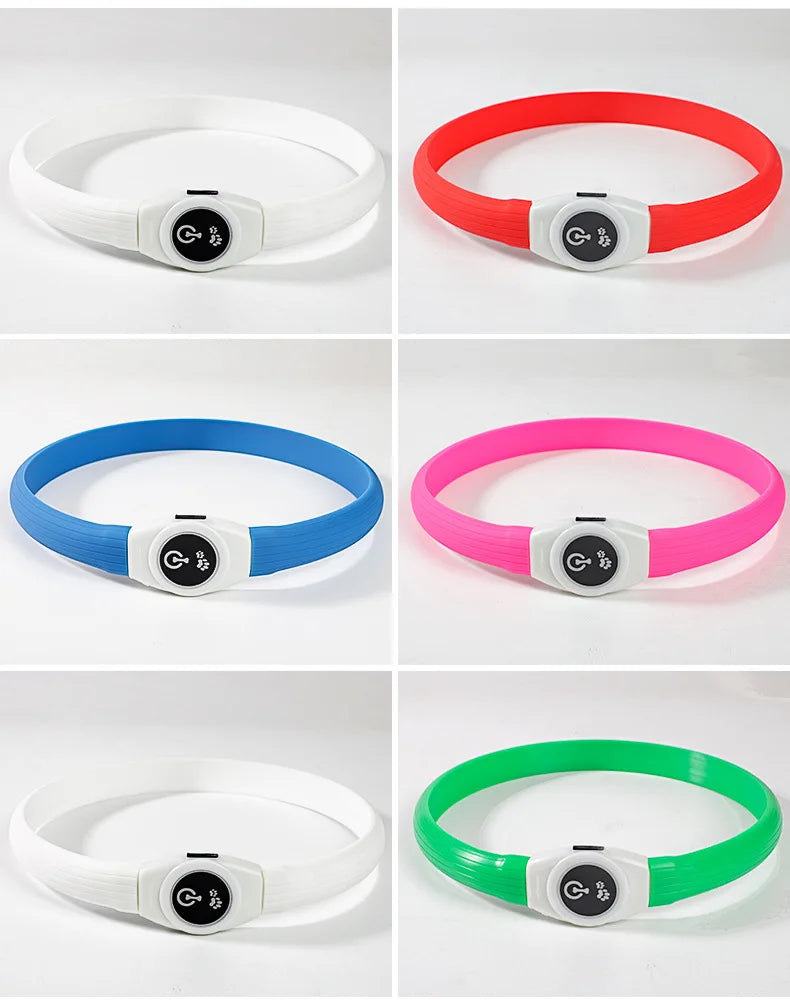 Nova coleira luminosa de LED para cães, em PVC à prova d'água, para cães de grande, médio e pequeno porte. Possui luz USB para segurança noturna e é um acessório luminoso para animais de estimação.