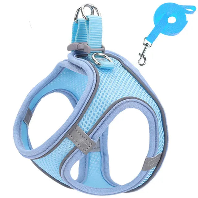 Conjunto de coleira e guia refletora para gatos, ajustável .