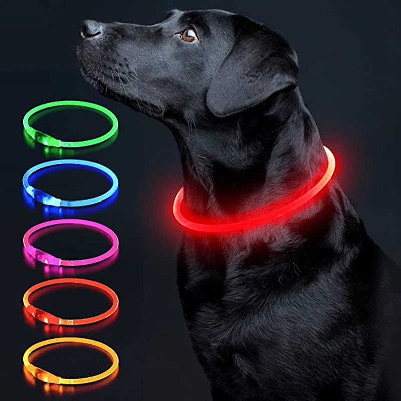 Coleira LED Recarregável para Cães e Gatos - Segurança Noturna | Visibilidade Total | USB