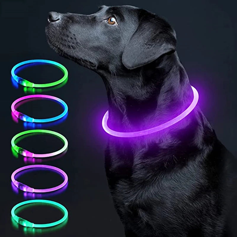 Coleira LED Recarregável para Cães e Gatos - Segurança Noturna | Visibilidade Total | USB