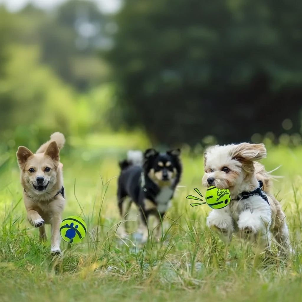 Bola de vinil com som para treinamento de QI canino, brinquedo interativo para animais de estimação, brincadeira estimulante, estimulação mental e exercício.