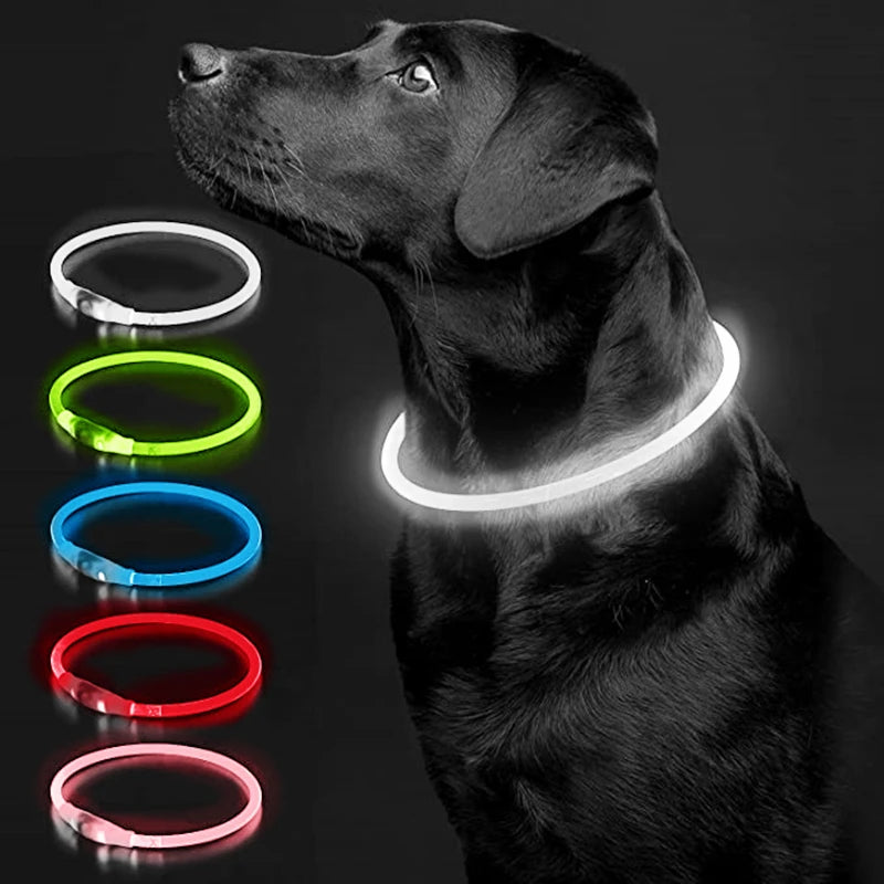 Coleira LED Recarregável para Cães e Gatos - Segurança Noturna | Visibilidade Total | USB
