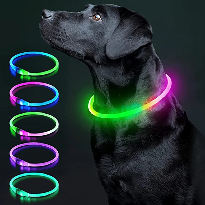Coleira LED Recarregável para Cães e Gatos - Segurança Noturna | Visibilidade Total | USB