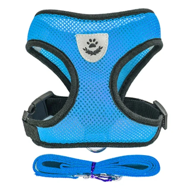 Colete  para gatos