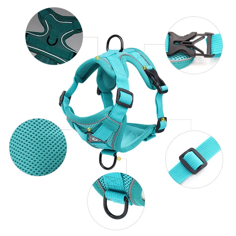 Conjunto de coleira e guia refletivas e estilosas para gatos .