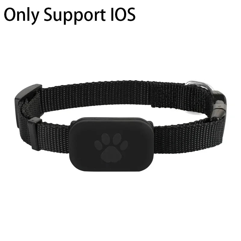 Colar de luxo com pérolas e strass para gatos e cachorros de pequeno porte.