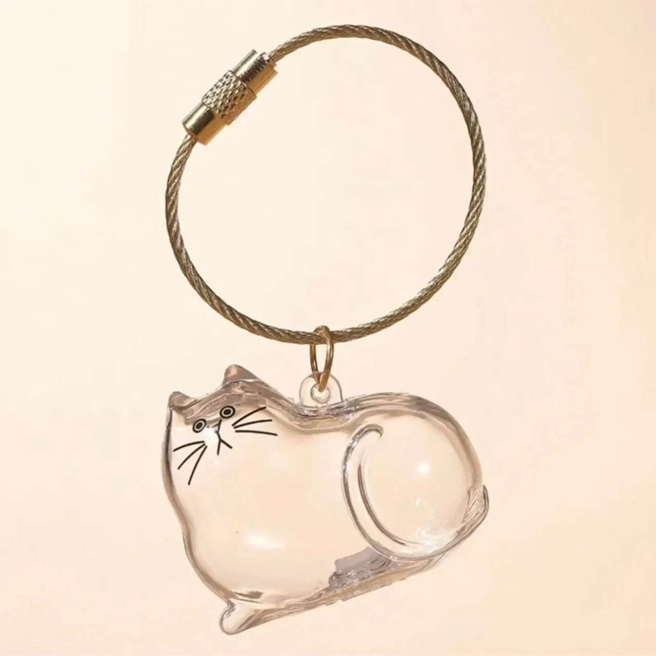 Recipiente transparente para guardar lembranças do seu pet .