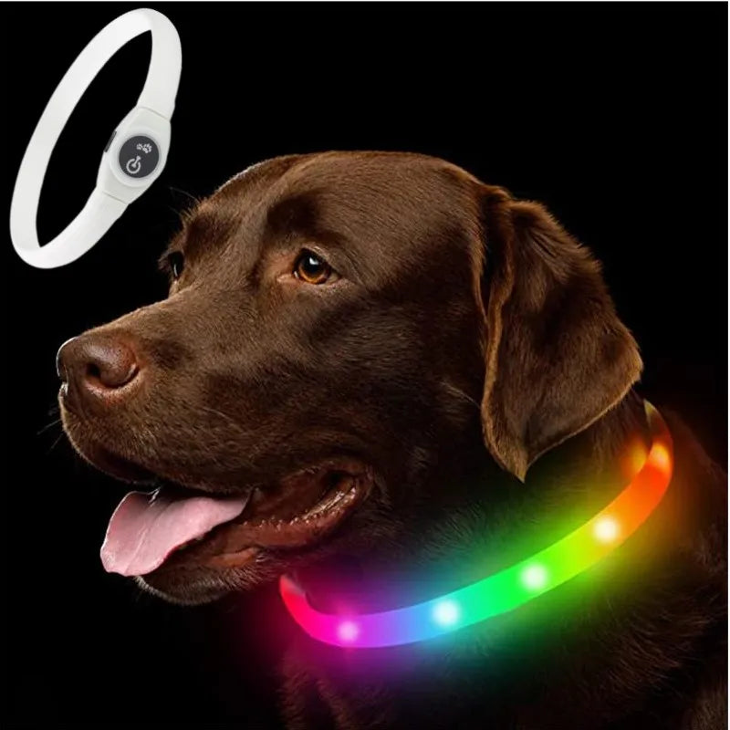Nova coleira luminosa de LED para cães, em PVC à prova d'água, para cães de grande, médio e pequeno porte. Possui luz USB para segurança noturna e é um acessório luminoso para animais de estimação.