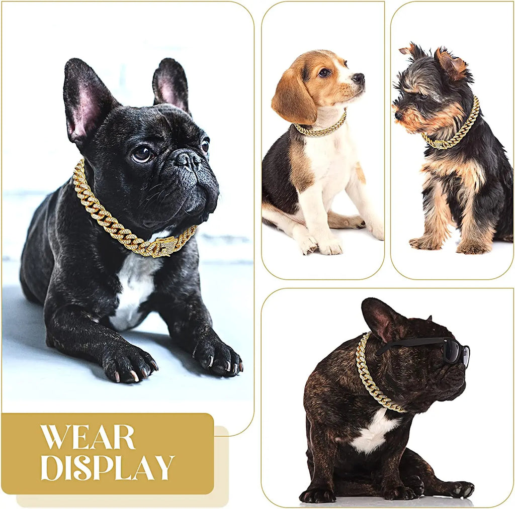 Colar de luxo com corrente cubana para gatos .
