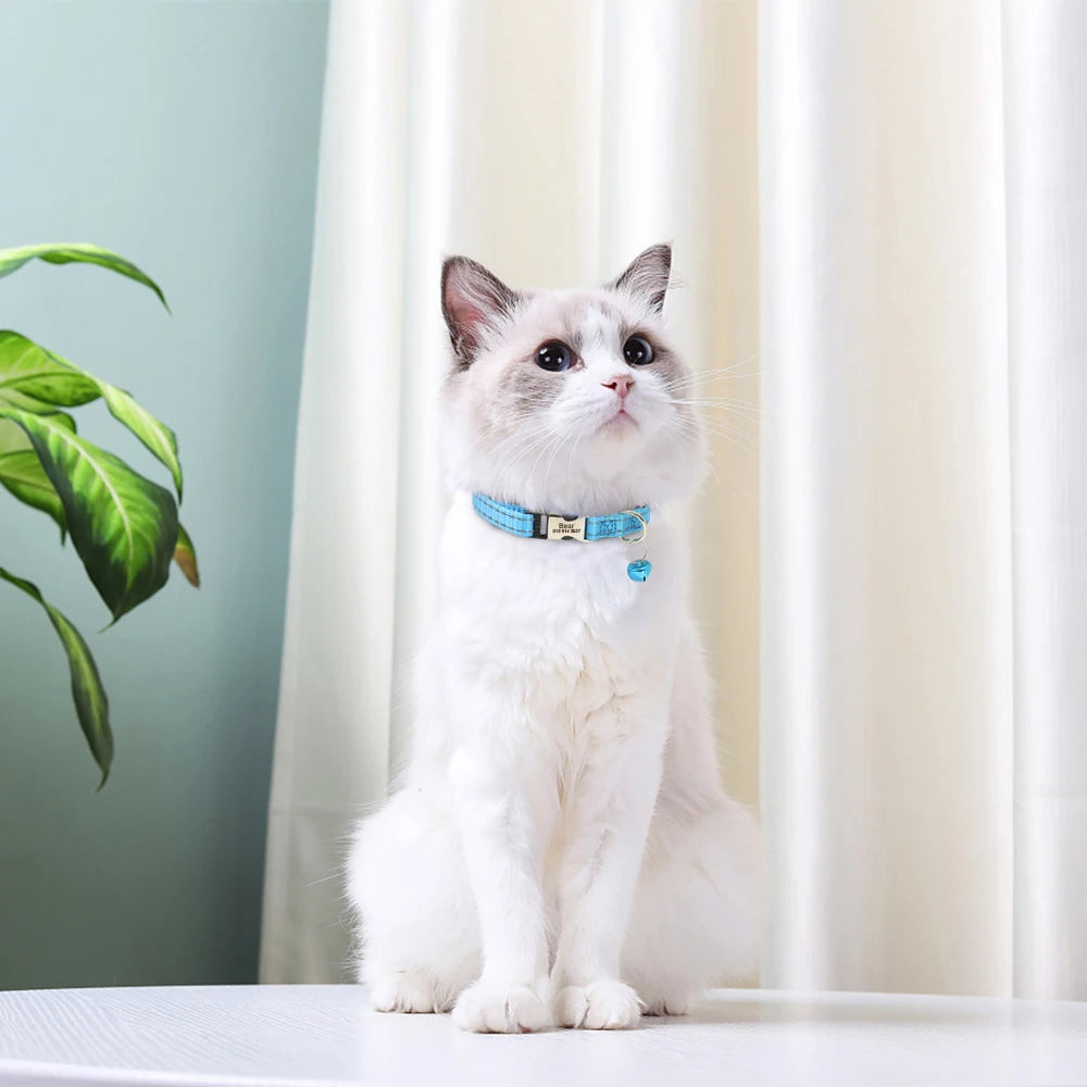Coleira personalizada para gatos, coleiras de nylon para filhotes, com plaquinha de identificação gravada , colar com sino e ajuste para gatos.