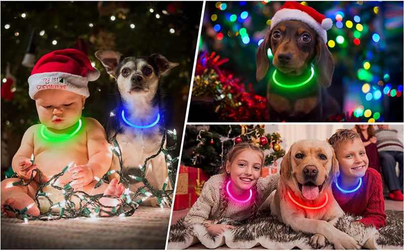 Coleira LED Recarregável para Cães e Gatos - Segurança Noturna | Visibilidade Total | USB