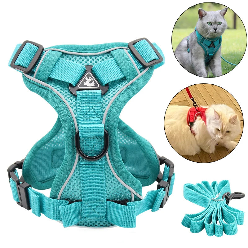 Conjunto de coleira e guia refletivas e estilosas para gatos .