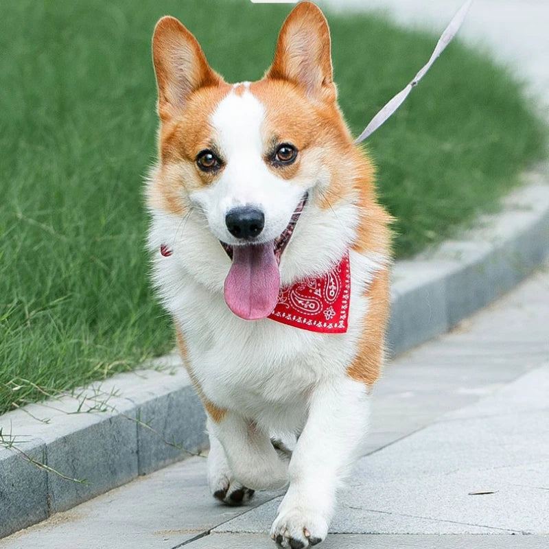 Bandana ajustável para animais de estimação, em tecido de malha de poliéster, lenço triangular para pescoço, ideal para cães e gatos de pequeno, médio e grande porte.