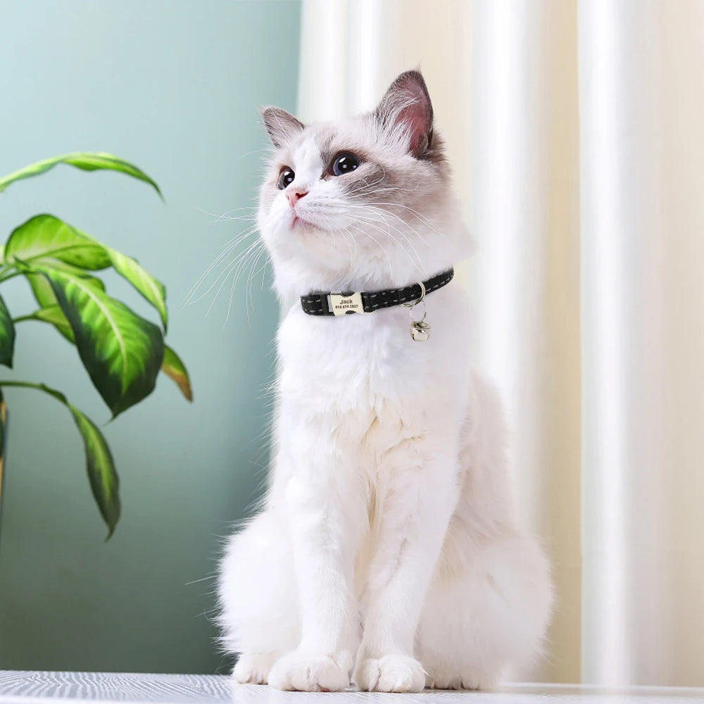 Coleira personalizada para gatos, coleiras de nylon para filhotes, com plaquinha de identificação gravada , colar com sino e ajuste para gatos.