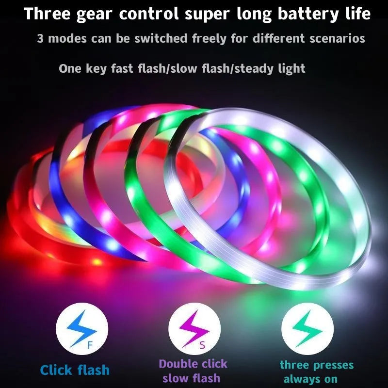 Nova coleira luminosa de LED para cães, em PVC à prova d'água, para cães de grande, médio e pequeno porte. Possui luz USB para segurança noturna e é um acessório luminoso para animais de estimação.