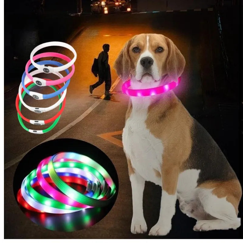 Nova coleira luminosa de LED para cães, em PVC à prova d'água, para cães de grande, médio e pequeno porte. Possui luz USB para segurança noturna e é um acessório luminoso para animais de estimação.