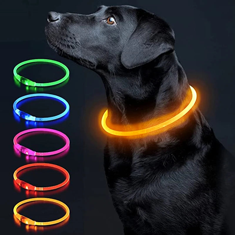 Coleira LED Recarregável para Cães e Gatos - Segurança Noturna | Visibilidade Total | USB