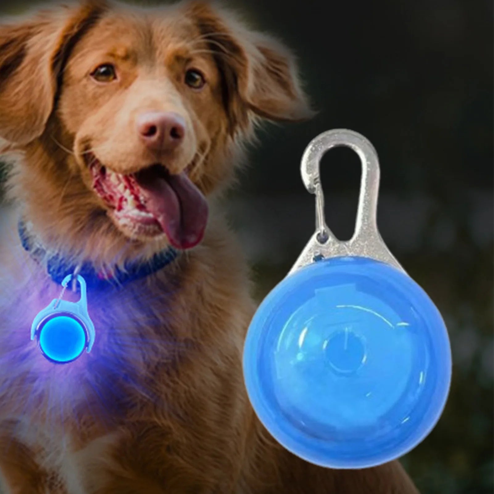 Coleira LED com pingente luminoso para cães, acessório de segurança para passeios noturnos, ideal para cães de pequeno, médio e grande porte.