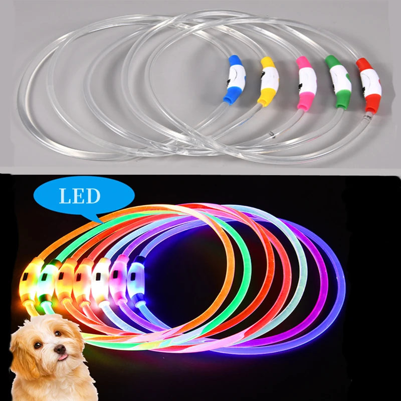 Coleira LED Recarregável para Cães e Gatos - Segurança Noturna | Visibilidade Total | USB