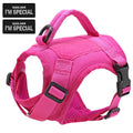 Colete peitoral de nylon para gatos com 2 adesivos, estilo militar tático, com alça, ideal para treinamento e passeios com gatos .