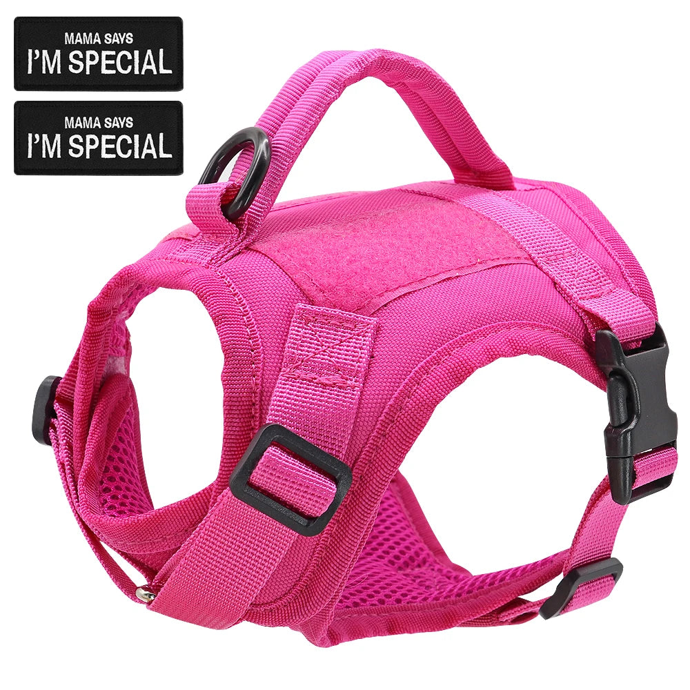 Colete peitoral de nylon para gatos com 2 adesivos, estilo militar tático, com alça, ideal para treinamento e passeios com gatos .