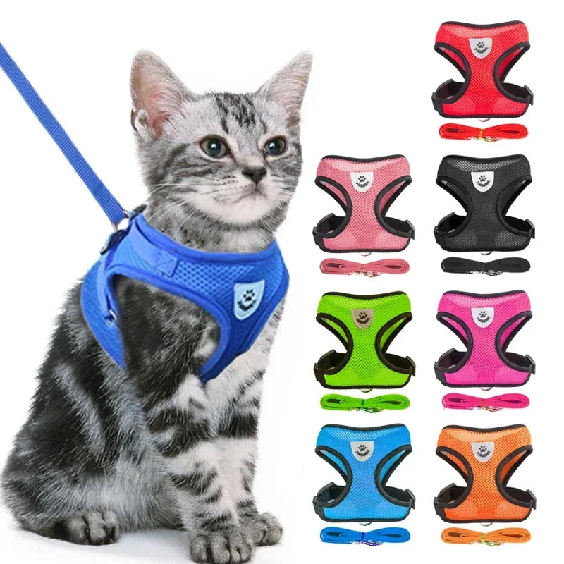 Colete  para gatos