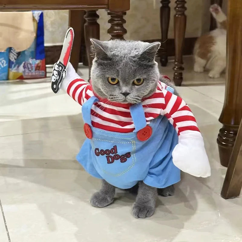 Roupas engraçadas para gatos
