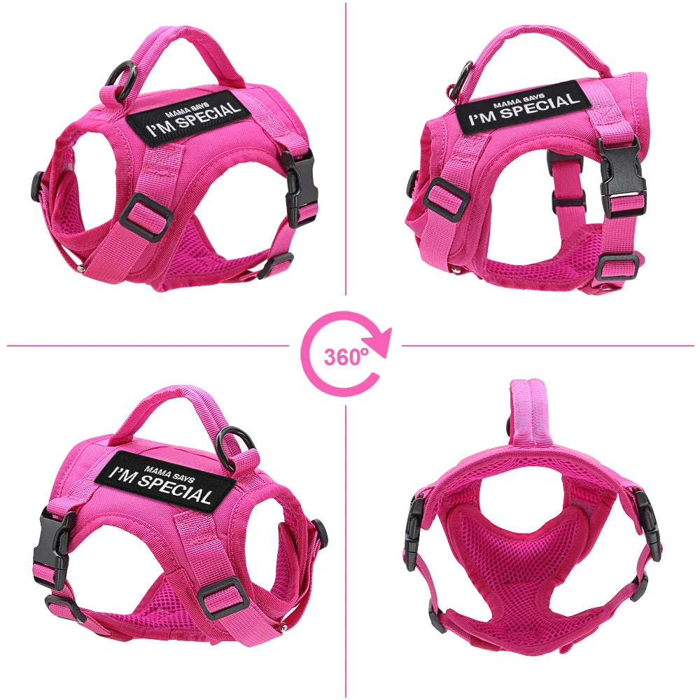 Colete peitoral de nylon para gatos com 2 adesivos, estilo militar tático, com alça, ideal para treinamento e passeios com gatos .