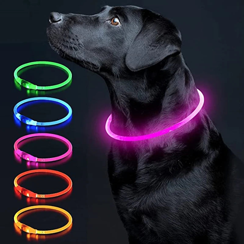 Coleira LED Recarregável para Cães e Gatos - Segurança Noturna | Visibilidade Total | USB