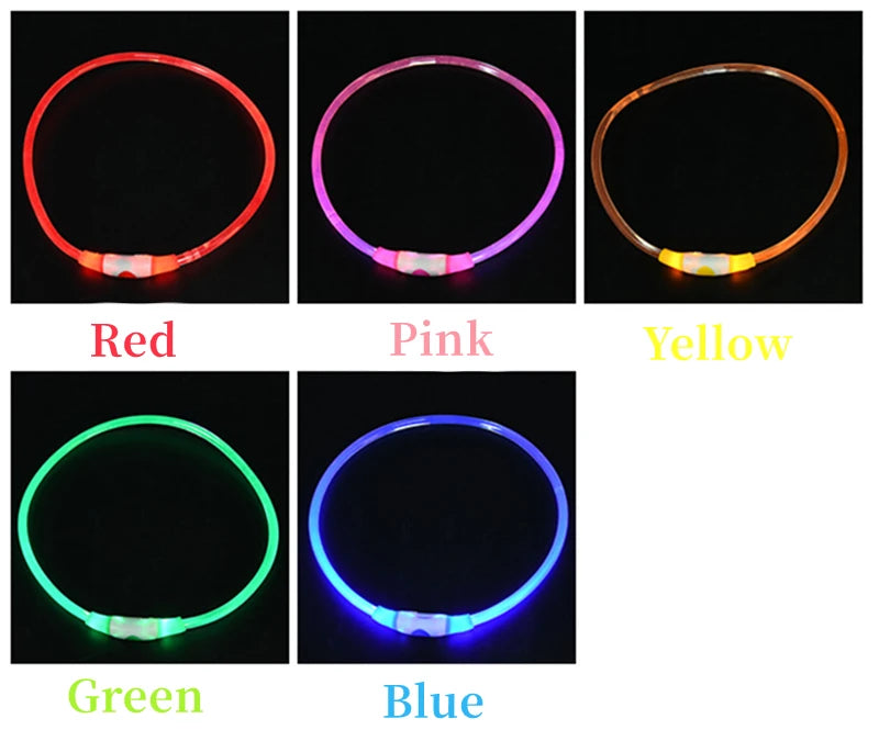 Coleira LED Recarregável para Cães e Gatos - Segurança Noturna | Visibilidade Total | USB