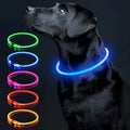 Coleira LED Recarregável para Cães e Gatos - Segurança Noturna | Visibilidade Total | USB