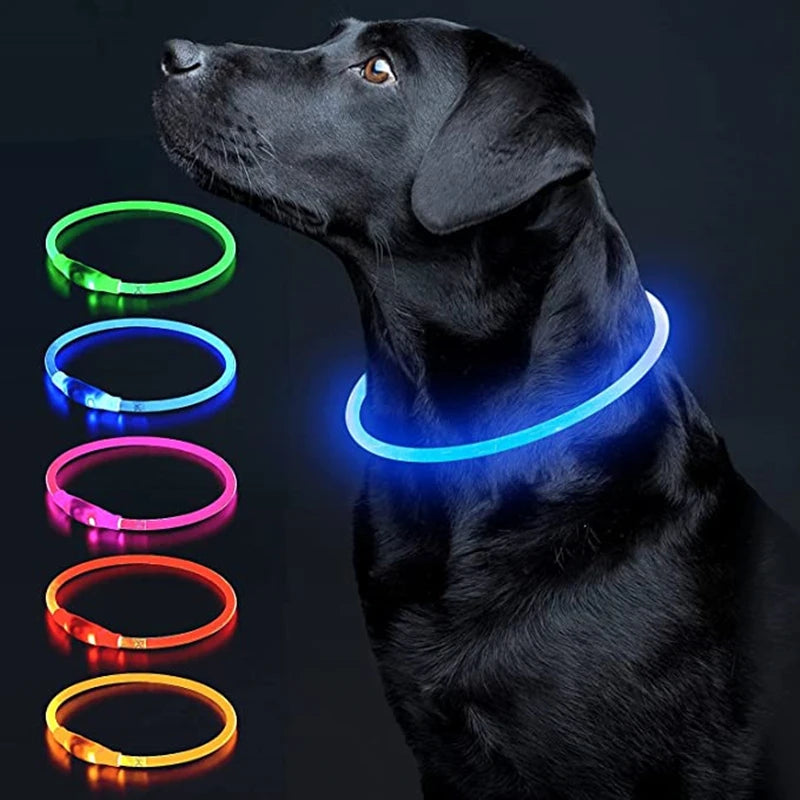 Coleira LED Recarregável para Cães e Gatos - Segurança Noturna | Visibilidade Total | USB