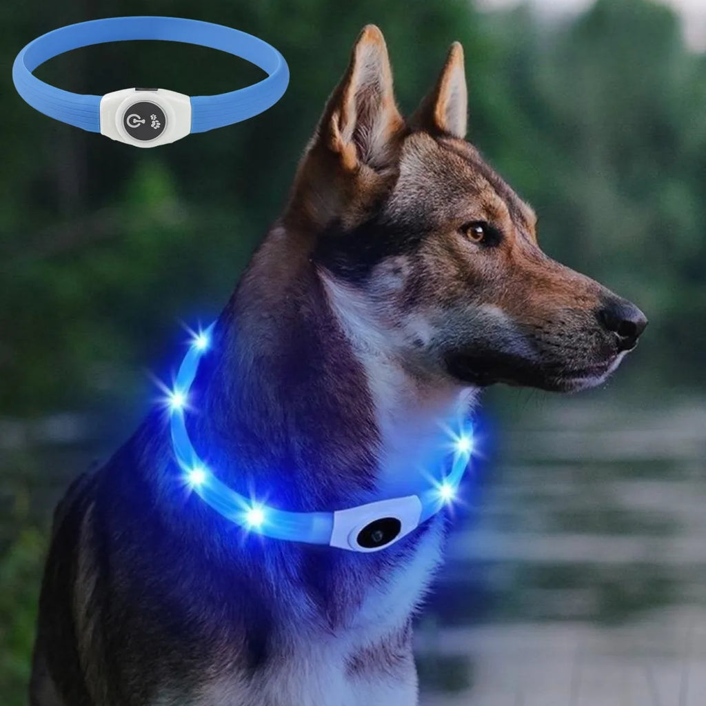 Nova coleira luminosa de LED para cães, em PVC à prova d'água, para cães de grande, médio e pequeno porte. Possui luz USB para segurança noturna e é um acessório luminoso para animais de estimação.