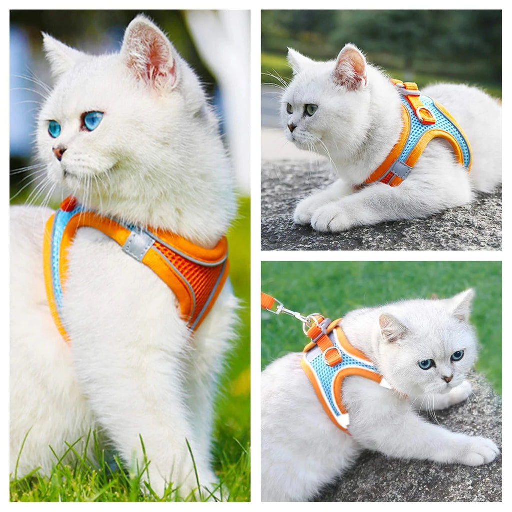 Conjunto de coleira e guia refletora para gatos, ajustável .