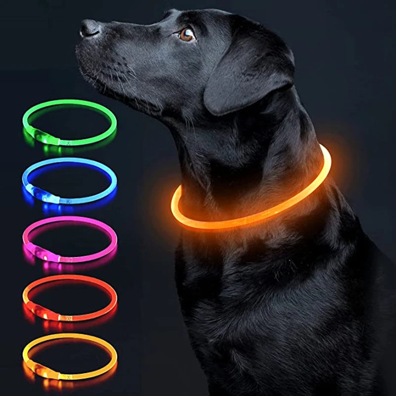 Coleira LED Recarregável para Cães e Gatos - Segurança Noturna | Visibilidade Total | USB