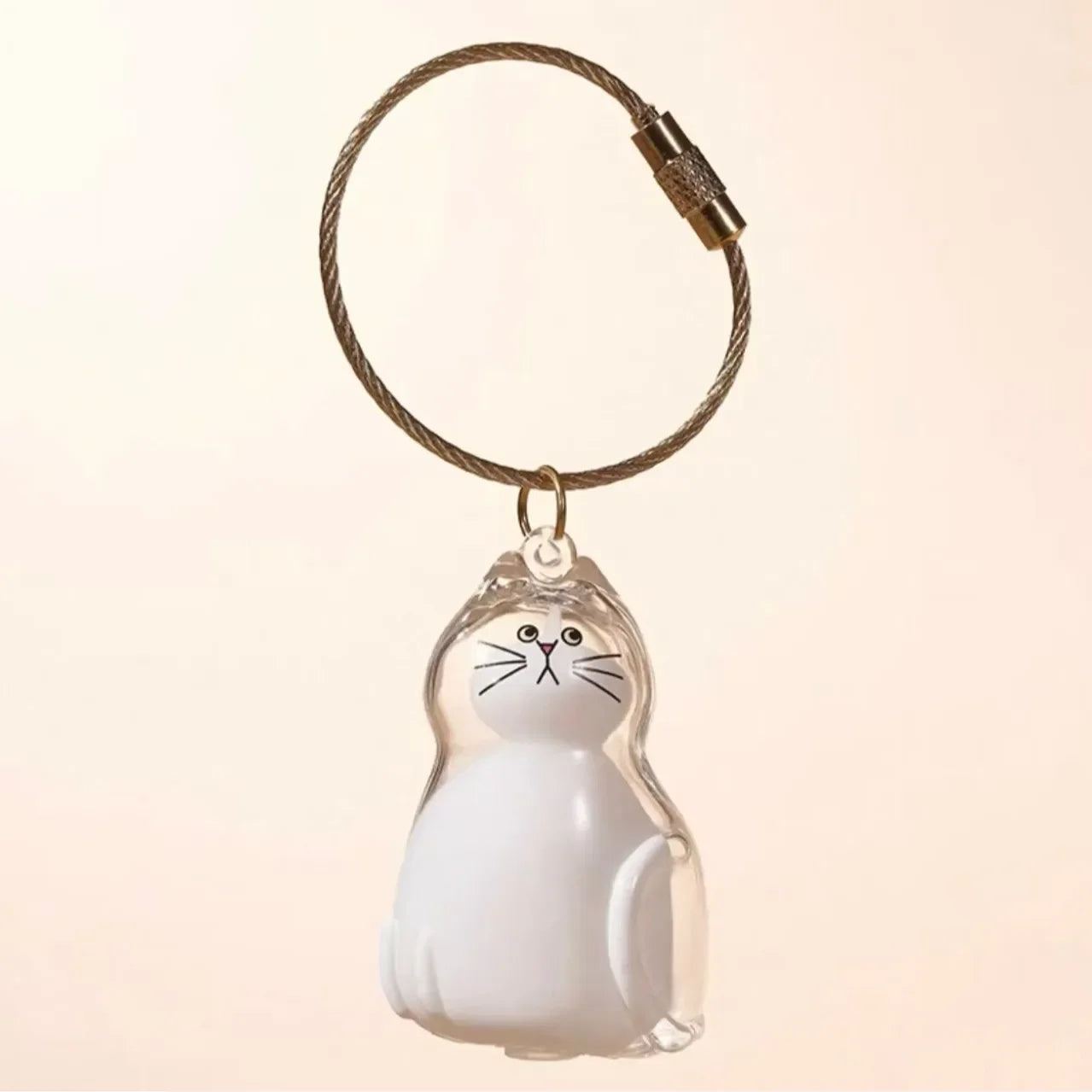 Recipiente transparente para guardar lembranças do seu pet .