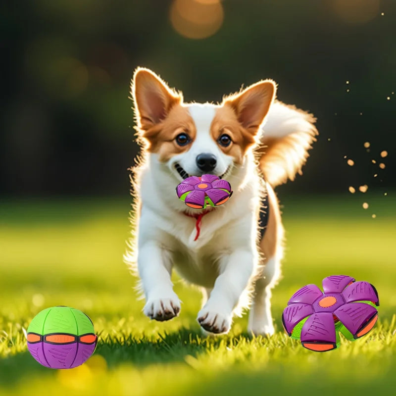 Disco voador em formato de  ovni para cães, feito de plástico resistente e interativo, ideal para treinamento e comportamento do animal de estimação.