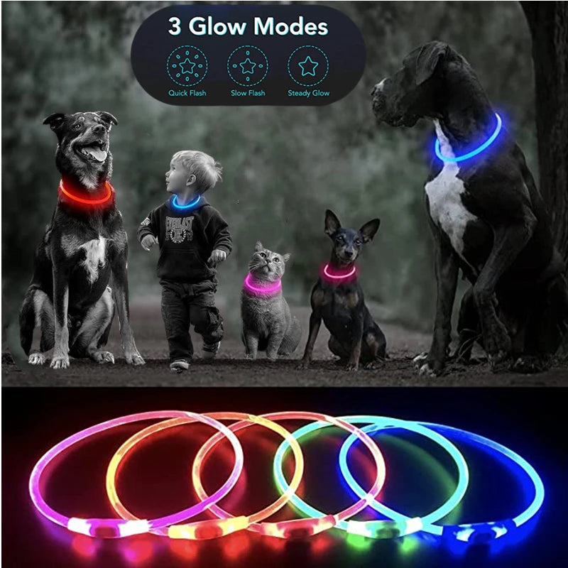 Coleira LED Recarregável para Cães e Gatos - Segurança Noturna | Visibilidade Total | USB
