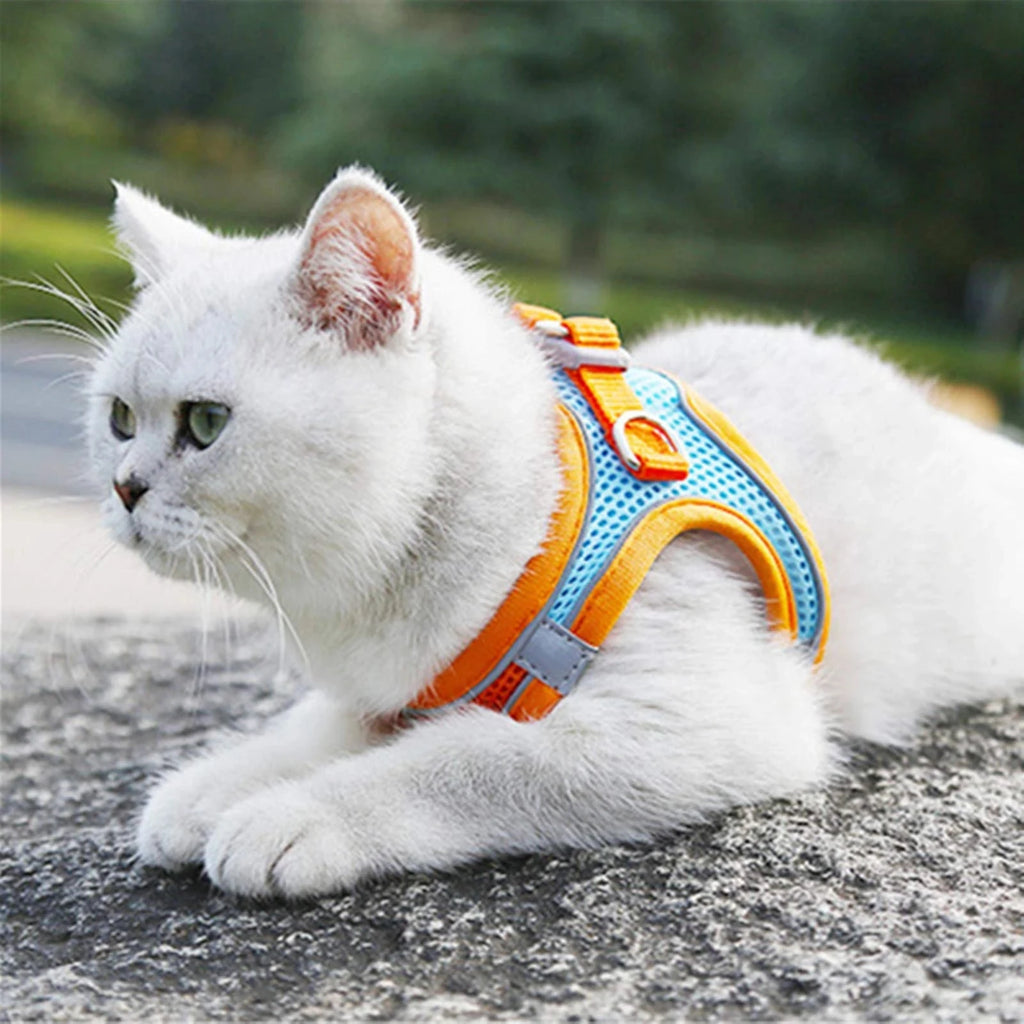 Conjunto de coleira e guia refletora para gatos, ajustável .