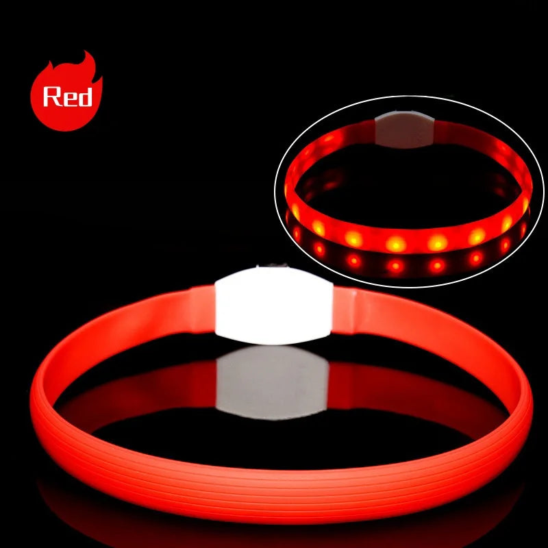 Nova coleira luminosa de LED para cães, em PVC à prova d'água, para cães de grande, médio e pequeno porte. Possui luz USB para segurança noturna e é um acessório luminoso para animais de estimação.