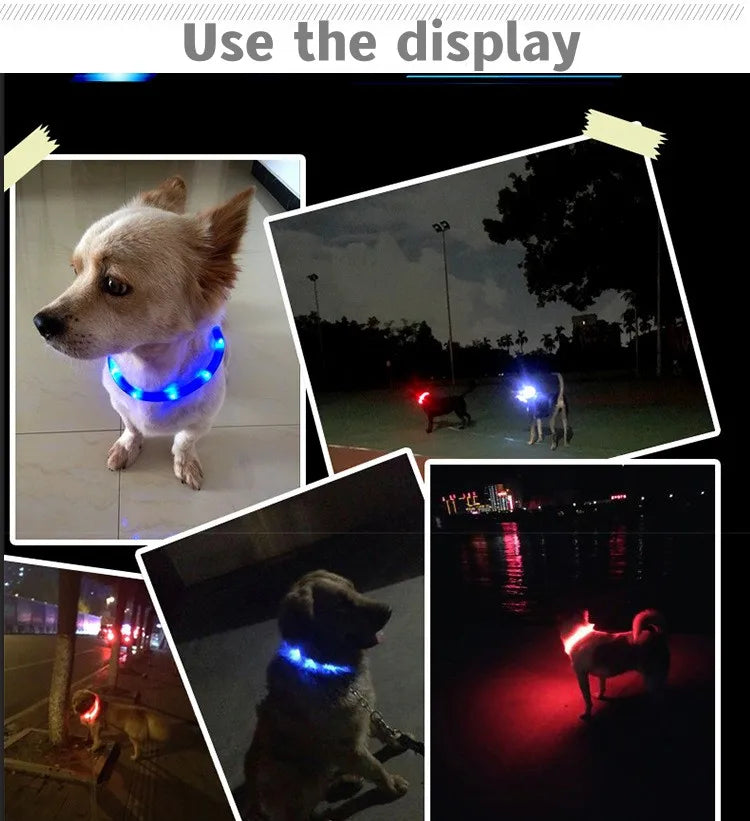 Nova coleira luminosa de LED para cães, em PVC à prova d'água, para cães de grande, médio e pequeno porte. Possui luz USB para segurança noturna e é um acessório luminoso para animais de estimação.