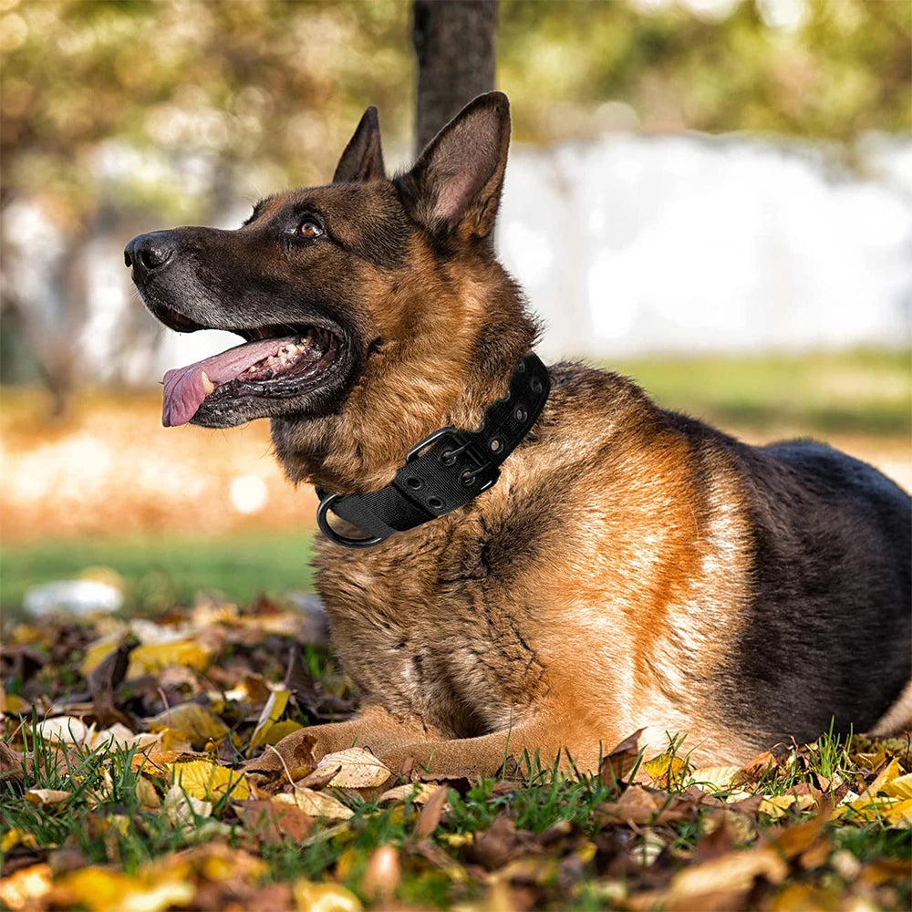 Coleira tática para cães, 1 peça, resistente, em nylon, estilo militar, para uso externo, ideal para cães de porte médio e grande, para treinamento, passeios e trabalho.