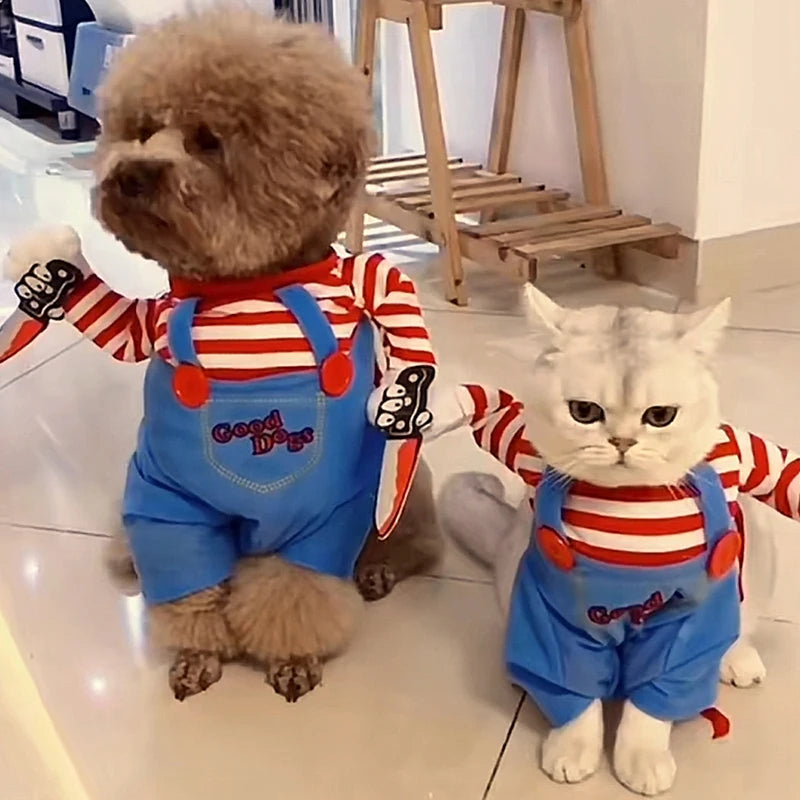 Roupas engraçadas para gatos