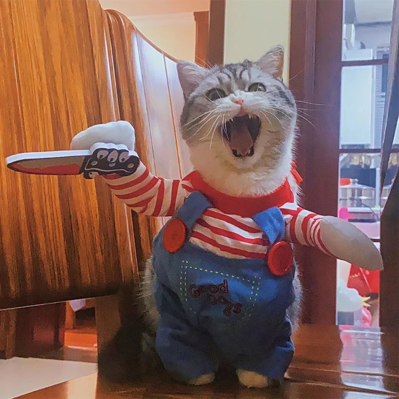 Roupas engraçadas para gatos