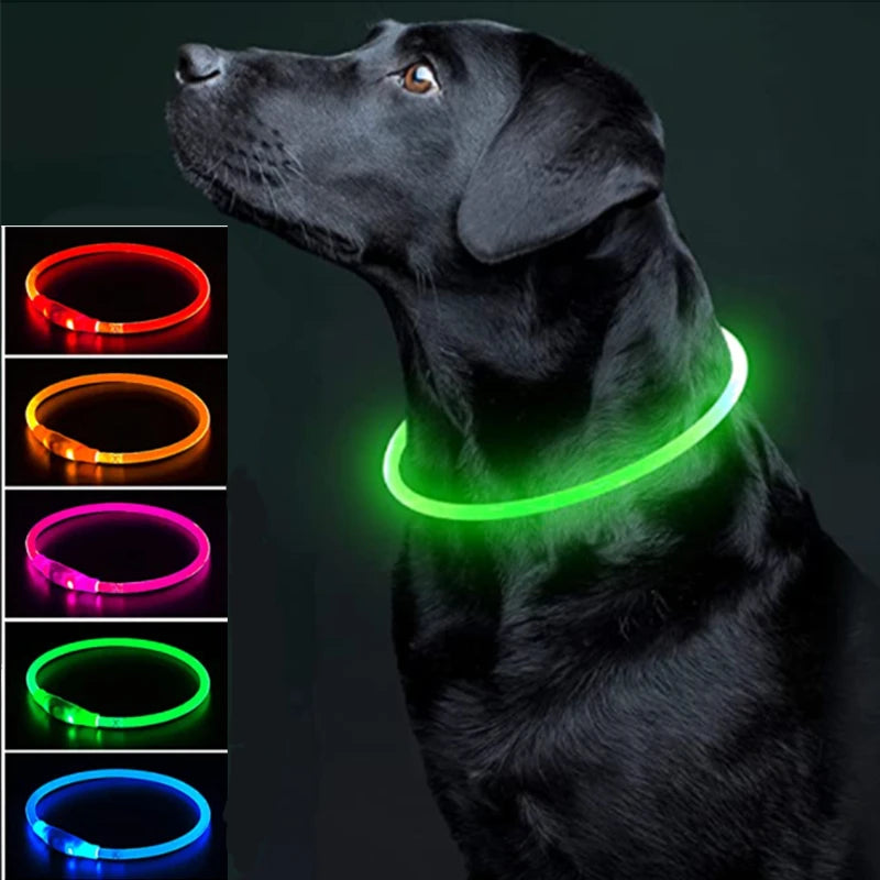 Coleira LED Recarregável para Cães e Gatos - Segurança Noturna | Visibilidade Total | USB