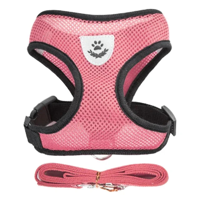Colete  para gatos