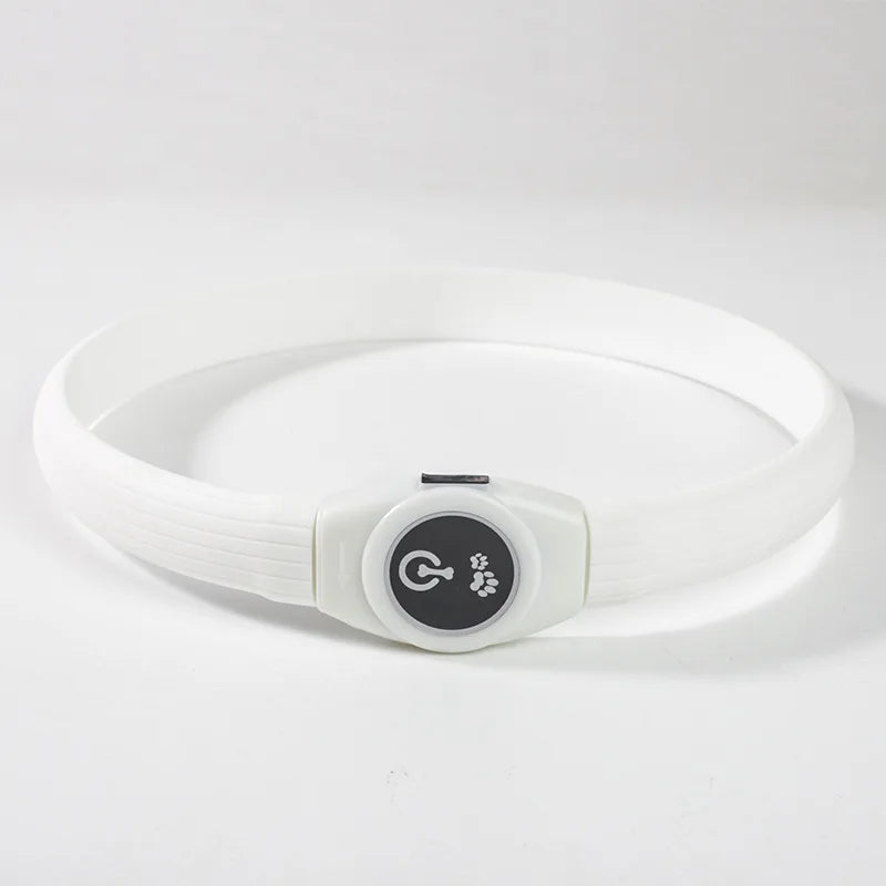 Nova coleira luminosa de LED para cães, em PVC à prova d'água, para cães de grande, médio e pequeno porte. Possui luz USB para segurança noturna e é um acessório luminoso para animais de estimação.
